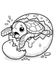 kleurplaat schildpad uit ei