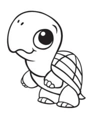 kleurplaat schildpadje