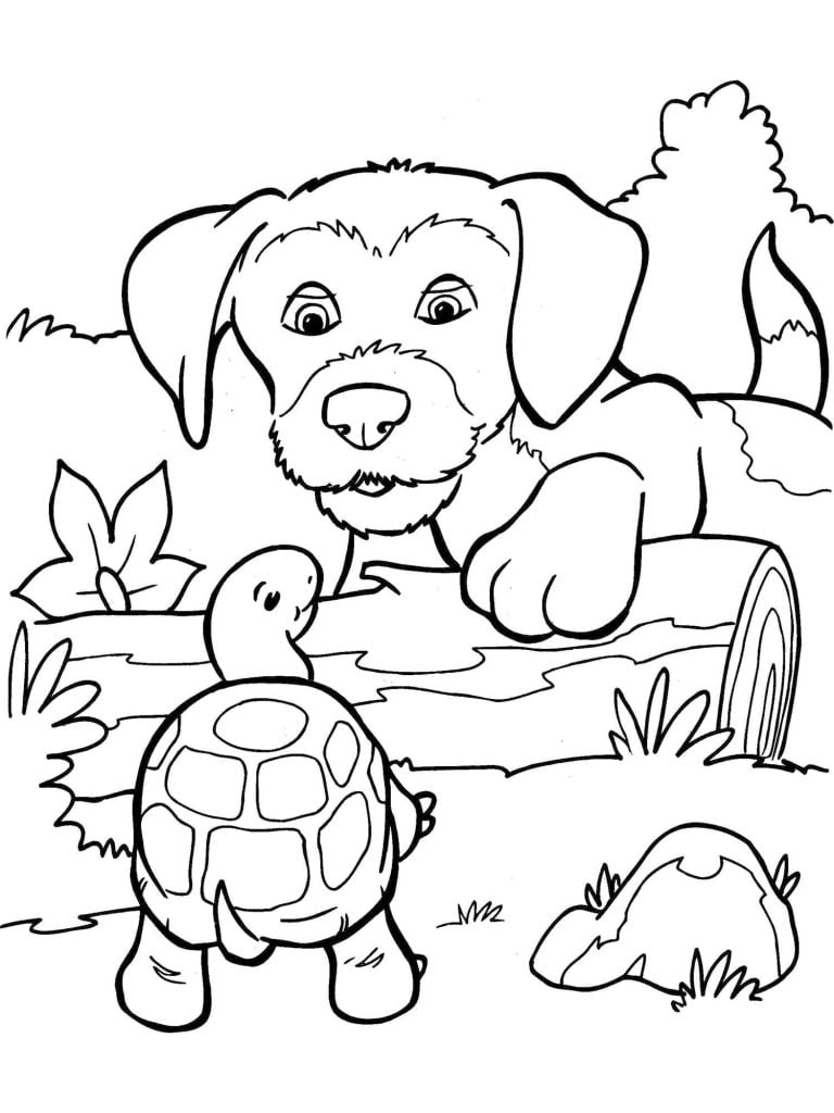 kleurplaat hond en schildpad