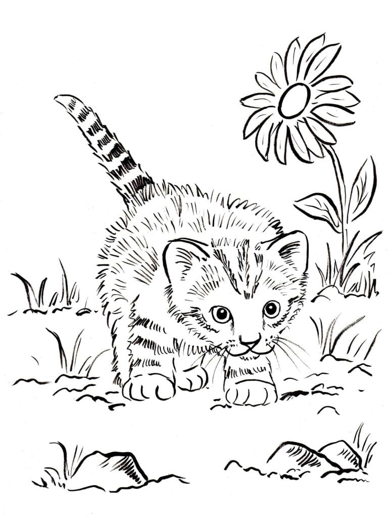 kleurplaat kitten op avontuur