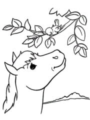 kleurplaat paard en vogeltje