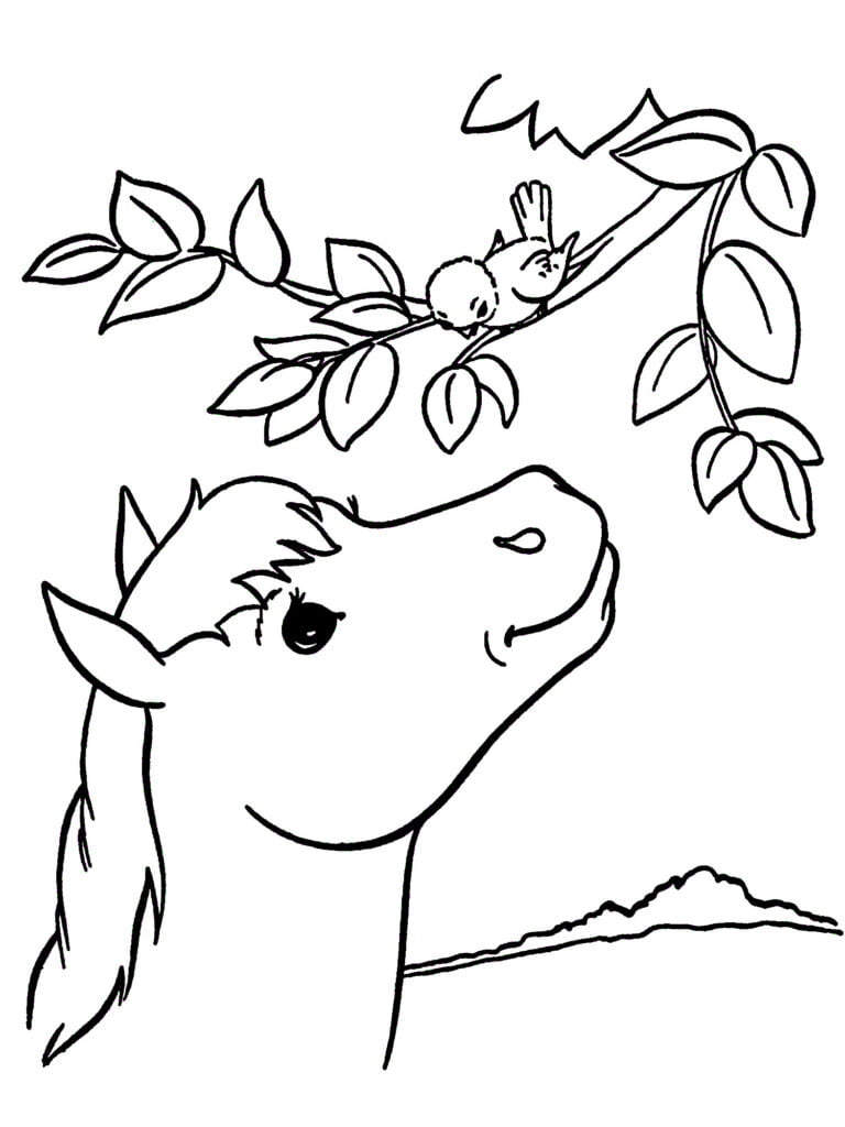 kleurplaat paard en vogeltje