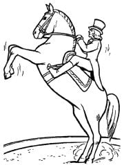 kleurplaat steigerend paard